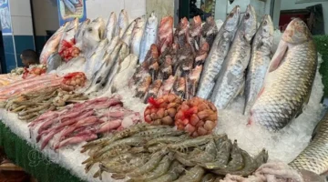 سعر السمك اليوم في سوق العبور انخفاض البلطي وارتفاع أسعار الجمبري 50 جنيهاً 1